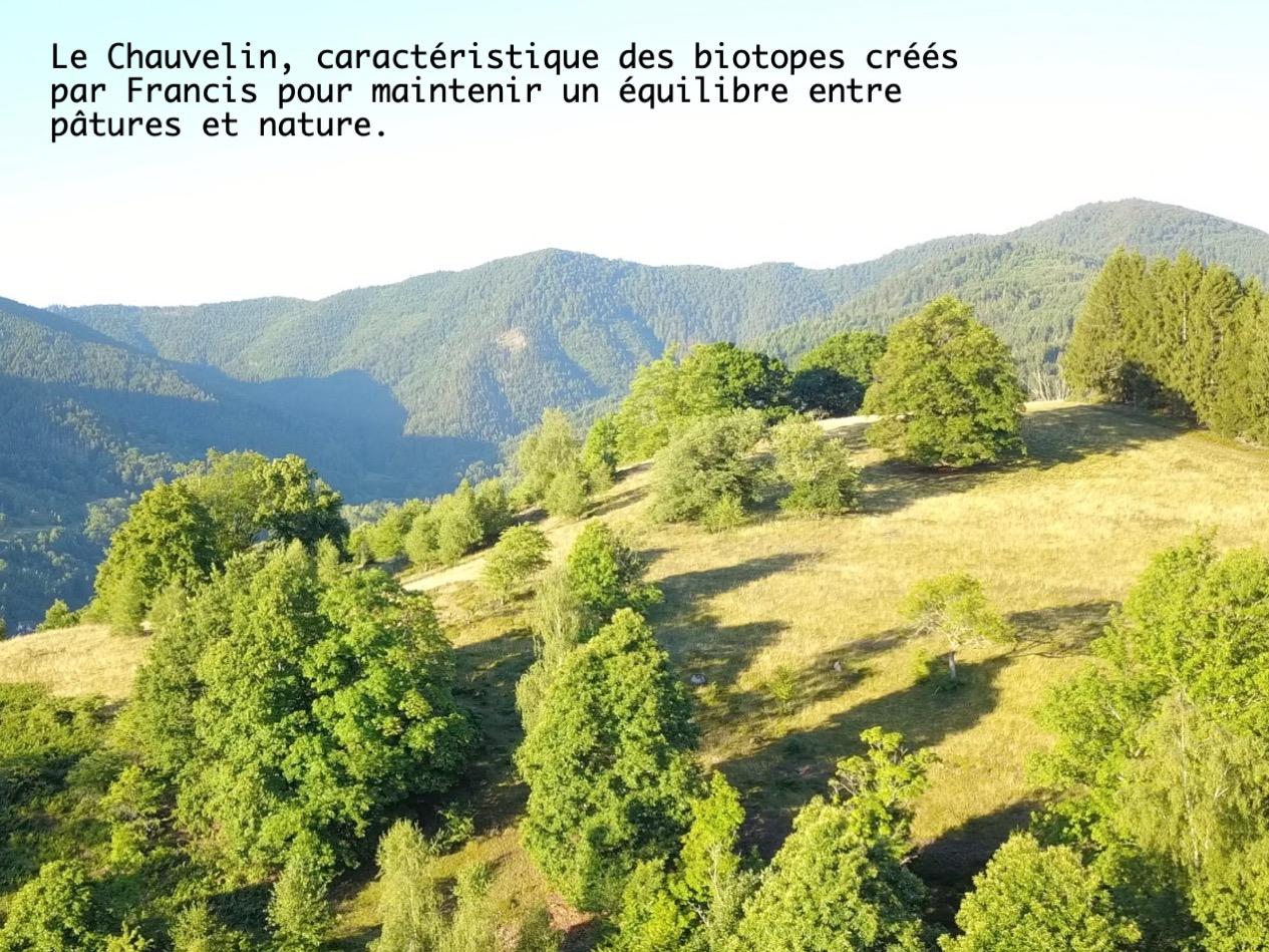 Transmettre synopsis 4