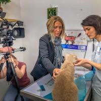Mof orage films15