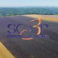 Sca3p copie